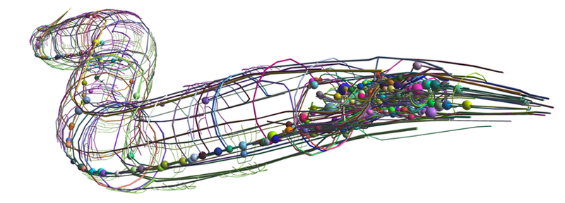 Illustration for article titled Researchers simulate a worm's internal muscle sensations with code